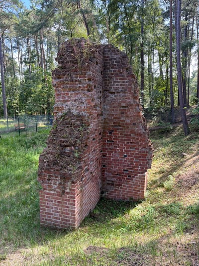 The image shows a ruined brick structure in a forest setting. The structure is made of red brick and appears to be a remnant of a larger building, with portions of walls still standing. The brickwork is aged and shows signs of wear and tear, with some areas covered in moss and vegetation. The surrounding environment is a dense forest with tall trees. In the background, a wire fence and a wooden bench are visible. The ground is covered in grass and fallen leaves. This ruin is located in the city of Łeba, Poland.