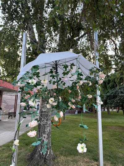 An outdoor decorative setup features a white umbrella suspended from chains between two metal poles, adorned with artificial pink and white roses and green foliage. The umbrella is positioned over the trunk of a birch tree, which is wrapped with white string lights. The scene is set in a grassy park area with trees in the background. In the background, a building with a red facade and a bench are visible on a paved walkway. The location is Lyubimets, Bulgaria.
