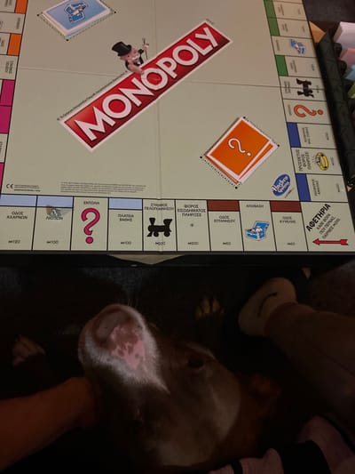 The scene depicts an indoor setting in the city of Gerakas Municipal Unit, Greece. A Greek-language Monopoly board game occupies the upper two-thirds of the frame, laid out horizontally. The board features the prominent red and white "MONOPOLY" logo with the Mr. Monopoly character. Various game squares are visible, including property spaces with Greek text and values (e.g., "ΟΔΟΣ ΑΧΑΡΝΩΝ" M120, "ΛΙΟΣΙΩΝ" M100, "ΠΛΑΤΕΙΑ ΒΑΘΗ" M100, "ΟΔΟΣ ΕΠΤΑΝΗΣΟΥ" M60), "ΕΝΤΟΛΗ" (Chance/Community Chest) squares marked with a red question mark on a pink background, "ΑΠΟΦΑΣΗ" (Decision) squares, railroad squares (e.g., "ΣΤΑΘΜΟΣ ΠΕΛΟΠΟΝΝΗΣΟΥ" M200), and income tax squares. The "Hasbro Gaming" logo is visible on the right side of the board.
In the lower third of the image, a brown and white dog lies on its back or side, partially obscured by shadow. Its snout and an ear with distinct pinkish-white mottled patches are clearly visible, illuminated by a light source from the left. A human's forearm and hand are visible on the left, gently stroking or resting near the dog's head. The human's lower leg and foot, wearing a white sock with a dark crescent-shaped design, are visible on the right side of the dog. The immediate surface beneath the dog and human appears dark, possibly a carpet or blanket.