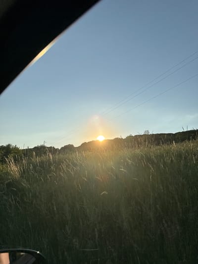 A low-angle, full shot captures a field of tall grass under a clear, light blue sky at sunset. The sun, a bright, glowing orb, is positioned slightly right of the center of the frame, casting a warm, golden light across the scene and creating a lens flare effect. Power lines stretch horizontally across the sky above a tree-lined hill in the distance. The foreground is dominated by the tall, green grass, some of which is illuminated by the setting sun, giving it a golden hue. The image appears to have been taken from inside a vehicle, with a dark, curved object, possibly a car's interior, visible in the lower left corner. The location is identified as Lisnyky, Ukraine.