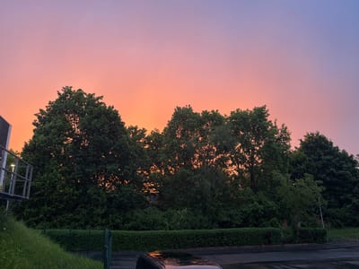 The image depicts a twilight scene with a color gradient sky transitioning from orange near the horizon to blue towards the top. A line of trees with dense green foliage occupies the midground. A trimmed hedge runs along the lower portion of the image, obscuring a chain-link fence. In the lower foreground, a portion of a dark-colored vehicle with a sunroof is visible on a wet road surface. To the left, a metal structure can be seen, suggesting an urban environment. The city is Pardubice, Czechia. No people are visible.