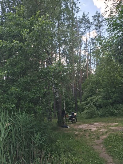 This image depicts a natural outdoor scene in Reutyntsi, Ukraine. The primary subjects are trees and a motorcycle. The setting appears to be a wooded area with a dirt path running through it, bordered by lush green grass and tall reeds. The trees are a mix of deciduous and coniferous, with dense green foliage. The motorcycle, a dark color, is parked on the edge of the path. A person is seated next to the motorcycle, facing away from the camera, with their legs extended. They are wearing dark clothing. The sky is visible through the branches of the trees, with some clouds suggesting it might be daytime. The overall impression is a peaceful, natural environment, likely a rural or park-like setting. There is no visible text in the image.