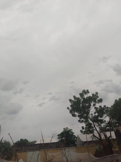 The image depicts an overcast sky above a low-rise urban landscape in Jimeta, Nigeria. In the foreground, dead branches and dried vegetation are visible, with some white netting draped over them. Behind this, a textured wall, possibly made of stone or concrete, runs horizontally across the frame. Beyond the wall, various trees with dense green foliage are scattered throughout the scene. A light-colored, gabled roof structure, possibly a building or shed, is partially visible behind the trees. The sky is filled with gray, cloudy formations, suggesting a potentially gloomy or rainy day. To the far left, a tall, slender structure, resembling a telecommunications tower, rises above the trees. The overall impression is one of a somewhat unkempt, naturalized urban environment under a heavy sky.
