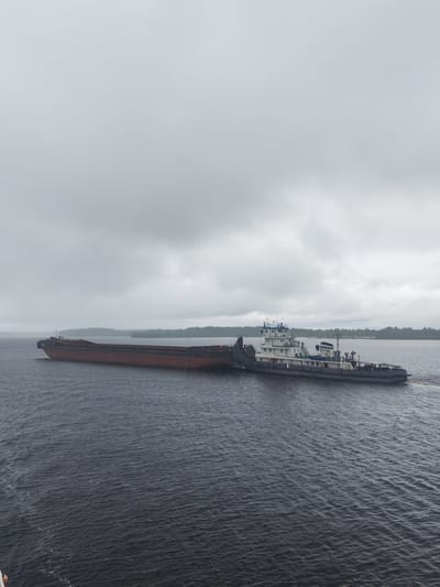 A tugboat is pushing a barge in a large body of water under a cloudy sky. The scene appears to be near a shoreline with trees in the background. I cannot confirm the location is Bessolovo, Russia from this image.