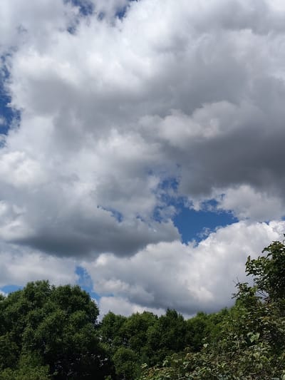 The image captures a dynamic sky filled with a mixture of bright white and dark gray clouds, suggesting variable weather conditions. Patches of vivid blue sky are visible between the cloud formations. Along the bottom of the frame, a dense line of lush green trees forms the foreground, with the tops of their canopies extending upwards. The trees are varied in shape and texture, with some appearing as large, rounded crowns and others as more feathery foliage. The scene is natural and appears to be an outdoor environment, likely a park or a forested area within the city of Venyukovo, Russia. There are no people or specific objects that indicate human activity in the immediate foreground. The overall impression is of a natural landscape under a dramatic sky.