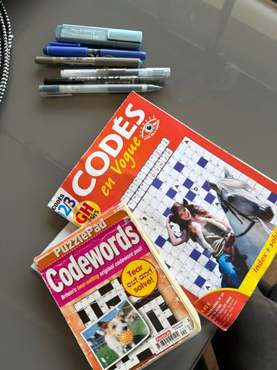 The image shows a gray table with a collection of items related to puzzle books and writing utensils. On the left side, there are five pens/markers of varying colors (blue, gray). Centrally positioned are two puzzle books: "CODES en Vogue" (French) and "Codewords Puzzlepad". The "CODES en Vogue" book features a woman riding a horse. The "Codewords Puzzlepad" shows a picture of a dog. The photograph was not taken in the French city of Champs-sur-Marne, France.