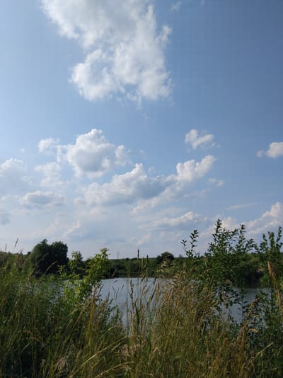 The image depicts a serene natural landscape with a clear blue sky dotted with fluffy white clouds. The foreground is dominated by tall, dry grasses and lush green foliage, suggesting a natural, uncultivated area. Beyond the vegetation, a tranquil body of water, likely a river or lake, stretches across the scene. The water appears calm, reflecting the sky and surrounding greenery. On the far bank of the water, a dense line of trees forms a natural border. The overall impression is one of peace and quietude, typical of a rural outdoor setting. The lighting suggests it is daytime, possibly late afternoon given the warm tones in the grass and the angle of the sun, though this is not definitively clear. There are no people or man-made objects visible in the image, emphasizing the natural beauty of the location. The scene appears to be in Antopil, Ukraine, as per the location context.