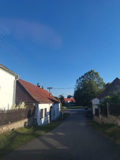 The image shows a rural street in Bošovice, Czechia, under a clear blue sky. On the left side of the street, a white house with a red tiled roof is visible, bordered by a wooden fence and a low stone wall. The house has several windows and a prominent gutter. Adjacent to it, a stone wall topped with a wooden fence runs along the side of the street, with a patch of grass and a shadow of striped pattern cast on the asphalt road.
The road itself is paved and appears to be a residential street, with a few parked cars further down. On the right side of the street, another house with a stone foundation and a red tiled roof is partially visible, along with a dark fence. In the background, a large, lush green tree dominates the landscape, with other houses and trees scattered further in the distance. Power lines stretch across the upper portion of the image. The overall scene depicts a quiet, sunlit village street.