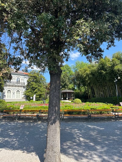 This image captures a serene park or garden scene in Grad Opatija, Croatia, on a bright, sunny day with a clear blue sky and scattered clouds.
In the foreground, a large tree with a rough, textured trunk stands prominently on the right, its dense green canopy extending across the left side of the frame. A wide, light-colored gravel path, dappled with the shadows of unseen trees, stretches horizontally across the lower portion of the image. Along the path, several wooden benches with dark metal frames are lined up, facing toward the center of the garden.
Behind the benches, neatly maintained flower beds feature vibrant green hedges topped with rows of pink flowers. Further back, a small, white, open-sided structure, possibly a gazebo or pavilion, is nestled amidst lush foliage. To the right of this structure, a dense grove of tall bamboo trees forms a verdant backdrop.
In the mid-ground, partially obscured by trees, stands a historic-looking, multi-story building with a light facade, distinguished by several arched windows, decorative elements, and balconies. A white sign with red text, partially visible near the building, indicates "EXIT / ENTRANCE". Additionally, two circular red and white "no" signs, featuring a silhouette of a figure, are placed along the path, likely indicating restrictions such as "no walking on the grass."
No people are visible in the scene, contributing to the tranquil and peaceful atmosphere of the garden.