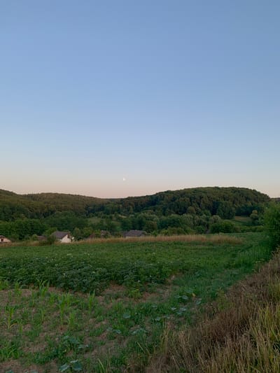 A landscape photograph captures a rural scene in Zamostia, Ukraine, during the evening. The sky is a clear, pale blue with a gradient towards a soft pink at the horizon. A full moon is visible in the upper right quadrant of the sky. Rolling hills covered in dense, dark green forest dominate the middle ground. In front of the forest, nestled within the landscape, are several houses with light-colored roofs. A cultivated field occupies the foreground, with rows of young green plants, possibly corn, interspersed with patches of soil. Further back in the field, a denser crop of green plants, possibly potatoes, is visible, dotted with small white flowers. The right edge of the foreground is bordered by dry, tall grasses. The overall impression is one of a tranquil, rural evening in the Ukrainian countryside.