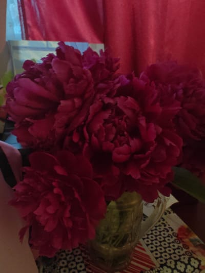 The image shows a bouquet of deep pink peonies in a clear glass vase. The vase is positioned on a table covered with a patterned cloth. The background consists of a red curtain. A person's arm, covered by a light-colored sleeve with a dark stripe, is visible on the left side of the image. The scene appears to be indoors. The city of Hadiach, Ukraine, is not depicted in this image, nor are any elements that would indicate its location.