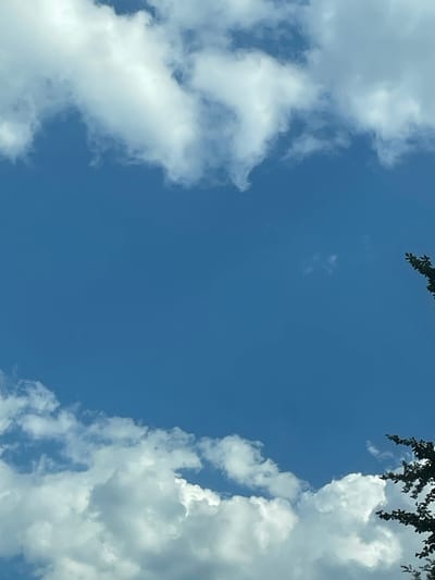 The media file shows a bright blue sky with fluffy white clouds. The clouds are on the left and right sides of the frame, with a large expanse of clear sky in the center. The top of the frame has a dark green branch with leaves hanging down, suggesting it might be a tree. The lighting indicates it's daytime, likely with good weather. The scene appears to be an outdoor, natural setting. There is no visible text.