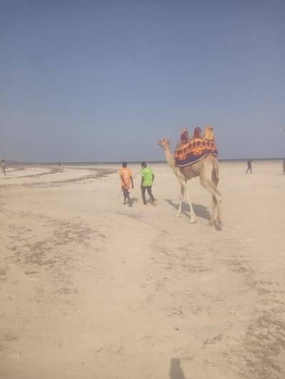 The image displays a sandy beach environment in Shanzu ward, Kenya, under a clear, light blue sky. In the midground, a light-colored dromedary camel walks from right to left, equipped with an ornate, multi-colored saddle featuring red, orange, yellow, and blue patterns, upon which two individuals are seated, largely obscured by the saddle's design. The camel is led by a rope held by a male subject wearing a green t-shirt and dark trousers, positioned behind the camel's head. To his left and slightly behind, a second male subject, wearing an orange t-shirt with the number "2" on its back and dark trousers, carries a dark stick in his right hand. The ground is composed of light-tan sand, marked by scattered darker organic material and faint ground impressions. In the background, the sandy terrain extends to a calm body of water, with multiple small, indistinct human figures visible near the waterline. Shadows from the primary subjects and the camera operator are cast on the sand.