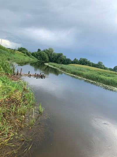 This is an outdoor, eye-level, medium shot of a river flowing through a rural landscape under a cloudy sky. The river occupies the majority of the frame, reflecting the overcast sky and the surrounding greenery. The left bank of the river is lined with tall, dense green grass, some of which is submerged in the water. A small, dilapidated wooden dock, made of rough-hewn logs, extends into the water from the left bank. The right bank of the river features a grassy incline covered with green vegetation, including reeds and some yellow flowering plants, leading up to a line of trees in the background. The sky is filled with heavy, gray clouds, suggesting an impending storm. The overall atmosphere is serene and natural. The location is in the vicinity of Відзаўскі сельскі Савет, Belarus.