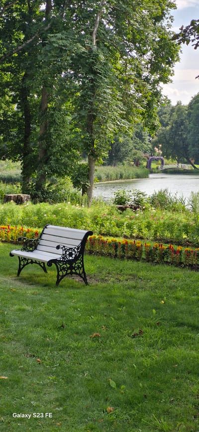 The image depicts a tranquil park scene in Pakruojis, Lithuania. In the foreground, a white slatted park bench with ornate black cast-iron legs sits on a vibrant green lawn. Behind the bench, a bed of flowers with alternating red and yellow blossoms runs horizontally. Further back, a calm body of water, likely a lake or pond, is visible, bordered by lush green reeds and trees. In the distance, a picturesque arched structure, possibly a floral arch, stands over a white pedestrian bridge spanning the water. The background is dominated by dense foliage and mature trees, with a hint of a cloudy sky above. The overall impression is one of serenity and natural beauty, characteristic of a well-maintained park.