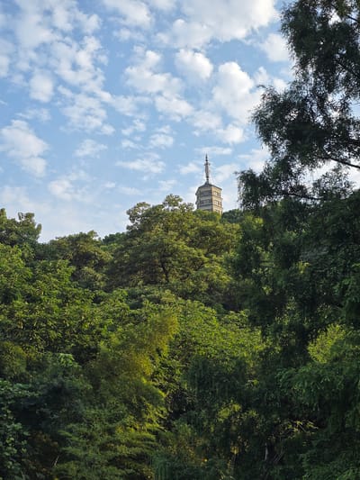This is a photograph taken in the Xiaoshan District of China, likely during daylight hours given the lighting. The image showcases a lush, green forested hillside, dense with various types of trees and foliage. Peeking above the treetops, towards the upper center of the frame, is a distinctive, multi-tiered pagoda structure. The pagoda is light-colored, possibly made of stone or concrete, and has a stepped, pagoda-style roof with decorative finials. The sky above is a clear blue, punctuated by scattered white, cumulus clouds. The overall impression is one of natural beauty and tranquility, with the man-made pagoda nestled within the verdant landscape. There are no people visible in the image.