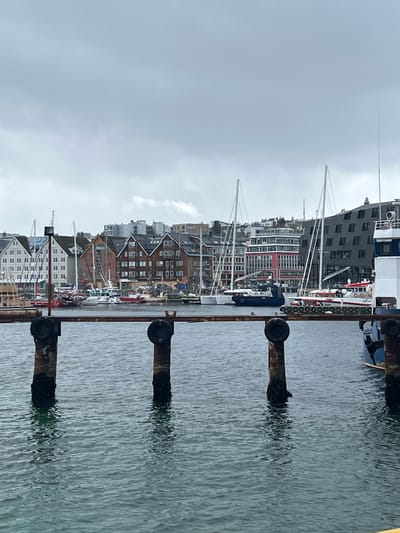 This image depicts a tranquil harbor scene in Tromsø, Norway, captured on an overcast day. The foreground features several dark, weathered mooring posts or pilings protruding from the rippled, gray-blue water. These posts are partially submerged and create subtle, blurred reflections on the water's surface.

Along the waterfront, numerous boats and yachts are docked, their tall masts and rigging forming a dense vertical pattern against the urban backdrop. The buildings lining the harbor exhibit diverse architectural styles, including modern structures with dark, angular facades and many windows, interspersed with more traditional multi-story buildings featuring brick or light-colored exteriors and pitched roofs. These buildings appear to be a mix of residential and commercial establishments, some with distinct window patterns.

The sky, filling the upper portion of the image, is uniformly gray and cloudy, suggesting a soft, diffused light typical of an overcast day. No direct sunlight is visible. The scene conveys a calm and somewhat subdued atmosphere. There are no people prominently visible, nor any specific events or activities taking place, presenting a static and peaceful view of the harbor. No discernible text is clearly readable within the frame.