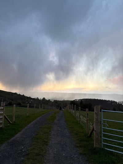 The image depicts a rural scene in Shrewsbury, United Kingdom. A gravel road stretches into the distance, bordered by green grassy areas and wooden fences with wire mesh. On the right side, a metal gate is partially visible. The landscape slopes uphill, covered with vegetation, and a dense treeline is visible along the horizon. The sky is overcast with grey clouds dominating the scene, although there's a narrow band of yellowish light near the horizon, suggesting sunrise or sunset. There are no people visible in the image.