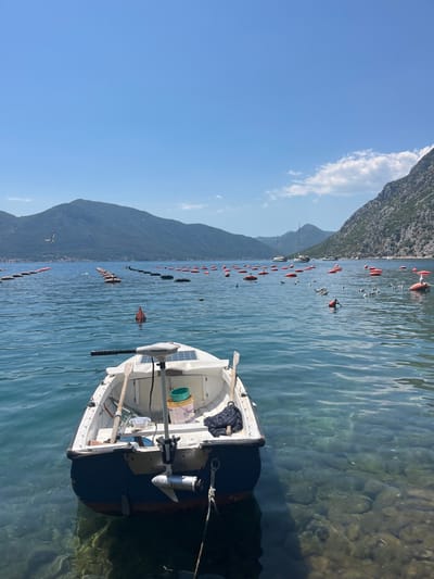 An eye-level, full, outdoor, vertical shot shows a small, white, blue-hulled boat with a trolling motor and solar panel on its stern, moored near a rocky shoreline on a sunny day in Donji Orahovac, Montenegro. The water is clear, revealing submerged rocks. In the middle ground, rows of orange and green buoys stretch across the blue sea, indicating an oyster farm. Several seagulls are visible, some perched on the buoys and others flying. Majestic, tree-covered mountains rise in the background, framing the bay. Two sailboats are anchored further out at sea. The sky is clear blue with a few wispy clouds.