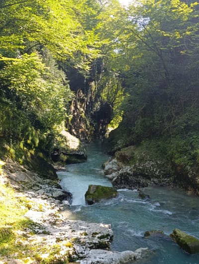 The image depicts a natural scene in the Martvili Canyon, located in the city of Lebache, Georgia. A turquoise river flows through a narrow canyon with steep, rocky walls covered in lush green vegetation. Sunlight dapples the water and the surrounding foliage, creating a vibrant and serene atmosphere. The water is clear and appears to be moving swiftly, with some white water visible where it encounters rocks. The canyon walls are a mix of light-colored rock and dark, moss-covered surfaces. Trees with dense green leaves overhang the canyon, with some branches reaching out over the water. The overall impression is one of untouched natural beauty. There are no people or man-made objects visible in the image.