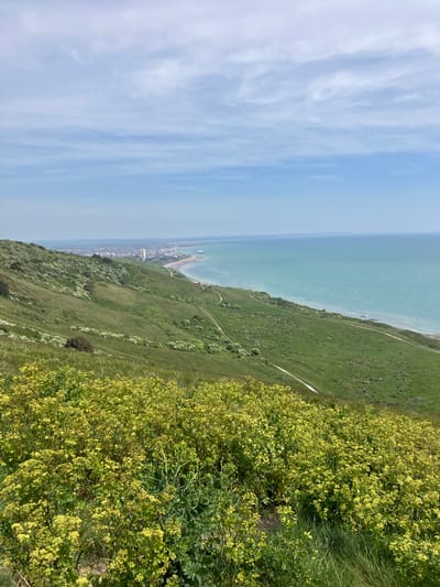 From a high vantage point, the city of Eastbourne, United Kingdom, stretches along the coastline where the land meets the sea. The sea is a pale blue-green hue, with a darker shade visible further out. A prominent pier extends into the water, adjacent to a sandy beach area that transitions into the urban landscape. The city skyline is a mix of low-rise buildings nestled close to the shore, gradually expanding inland.
The foreground is dominated by a steep, green hillside covered in grass and various plants, with yellow flowers prominently visible on the right. Footpaths wind along the hillside. The sky is a light blue, with thin streaks of clouds overhead.