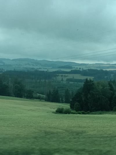 This is a vertical, outdoor, medium shot of a bucolic landscape under a cloudy, overcast sky. The scene appears to be a rolling countryside with fields and trees. In the foreground, a vast, gently sloping field of green crops, possibly barley or wheat, dominates the lower half of the image. The texture of the crop is finely detailed, suggesting it's ripe or nearly so.
Beyond this field, a band of dark green trees forms a dense forest that stretches across the middle ground, with some of the trees taller than others. The trees create a textured, dark contrast against the lighter fields and the hazy sky. In the far distance, a series of rolling hills, also covered in a mix of green fields and darker patches of trees or settlements, recede into the horizon. The overall color palette is muted, dominated by various shades of green and a grey-blue for the sky.
Above the distant hills, several parallel lines, likely power lines, are visible against the sky. A single, small dark shape, possibly a bird or an aircraft, is faintly discernible in the upper portion of the sky. The weather appears to be overcast, perhaps before or after rain, contributing to the subdued lighting and muted colors, creating a somewhat melancholic or peaceful atmosphere. There are no people or specific man-made objects clearly identifiable, apart from the power lines. The time of day is difficult to determine precisely due to the overcast conditions, but it appears to be daytime. The landscape suggests a rural location, consistent with the context of Šternov, Czechia. No text is visible in the image.