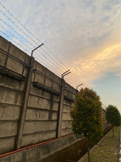 This media file depicts a section of a concrete wall with barbed wire atop, set against a cloudy sky with warm, golden light, suggesting either sunrise or sunset. Two small trees with dense green foliage, tinged with red, are planted to the right of the wall, with another similar tree further in the background. The wall itself is composed of large, rectangular concrete panels and has metal structures, possibly ladder rungs or supports, attached to its surface. A thin orange pipe runs vertically along the right side of the wall. The ground to the right of the wall appears to be covered in grass and moss. There is no visible text. The scene conveys a sense of enclosure or fortification. The lighting and cloudy sky suggest an outdoor setting at either dawn or dusk. The location context is Gambut Barat, Indonesia.