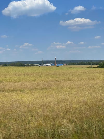This is a vertically oriented image of a rural landscape on a sunny day. The scene is divided diagonally, with the left side dominated by a bright blue sky with scattered white clouds. The right side of the image is a vast field of dry, golden-brown grass that stretches towards the horizon. In the distance, a line of trees forms a dark green backdrop, behind which a few buildings and a small town can be discerned, nestled amongst the foliage. Several power pylons with crisscrossing wires are visible in the middle ground, marking the presence of infrastructure. A tall, brick structure with a white top, possibly a chimney or a tower, stands out near the center of the image. The overall impression is one of a warm, summer day in the Czech countryside, with a vast open field under a clear sky.