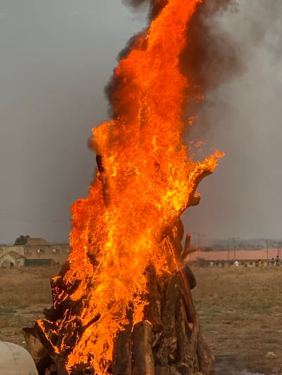 A bonfire roars with intense orange flames and thick black smoke. A pile of logs fuel the fire, with the surrounding landscape showing a field and buildings in the distance. The sky is overcast, casting a somber tone. The fire dominates the scene, showcasing its destructive and powerful nature.