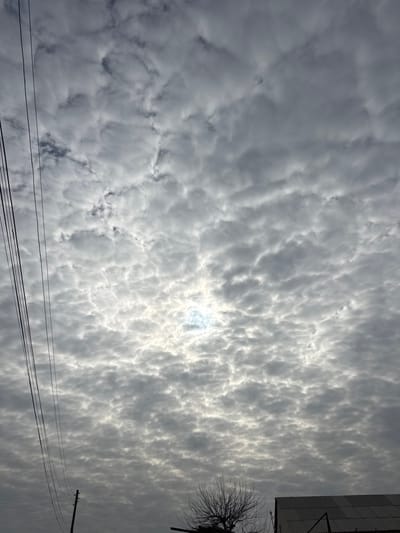 A vast expanse of altocumulus clouds covers the sky, partially obscuring the sun. The cloud formations are textured and appear as layered, rippled patterns. In the lower part of the frame, electrical wires stretch across. Along the right edge, a building overhang and bare tree branches are visible against the cloudy backdrop. The overall tone is overcast and muted.