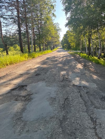 The image shows a dirt road in Gornye Kljuchi, Russia, lined with trees on either side. The road is in poor condition, with numerous potholes and uneven surfaces. Sunlight filters through the leaves of the trees, casting dappled shadows on the road. The grass on the side of the road is green and lush, suggesting a warm season. The sky is clear and blue. In the distance, the road appears to continue, with some vegetation and a fence visible along the right side. There are no people or vehicles visible in the image.