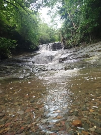 The image depicts a natural scene of a waterfall flowing over rocks in a forested area. The water is clear and appears to be shallow in the foreground, revealing a rocky bed. Lush green foliage from trees and bushes borders the waterfall and lines the banks of the stream, creating a dense canopy overhead in some areas. The overall impression is one of a tranquil, natural setting. There are no people, buildings, or urban elements visible in the image. The specific location in the city of Bayan, Azerbaijan cannot be determined from the visual information provided in the image.