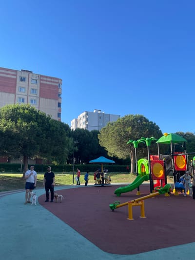The image depicts an outdoor playground scene on a clear, sunny day. The foreground features two men walking dogs on leashes. The man on the left is wearing a black t-shirt and dark pants, while the man on the right is in a striped t-shirt and navy shorts. Both men appear to be casually dressed, and their dogs are small and light-colored.
In the background, a vibrant, multi-colored playground structure with slides, swings, and climbing elements is visible. Children are playing on or around the playground equipment. Beyond the playground, tall trees and modern apartment buildings can be seen, suggesting an urban or suburban setting. The buildings are a mix of light-colored facades with some reddish-brown accents. The ground surface of the playground appears to be a soft, padded material in red and blue tones. The sky is a bright, cloudless blue. The overall atmosphere is one of a pleasant, active day in a park or residential area, likely in the morning or afternoon given the clear sky and bright lighting. There is no visible text in the image. The orientation of the image is vertical.