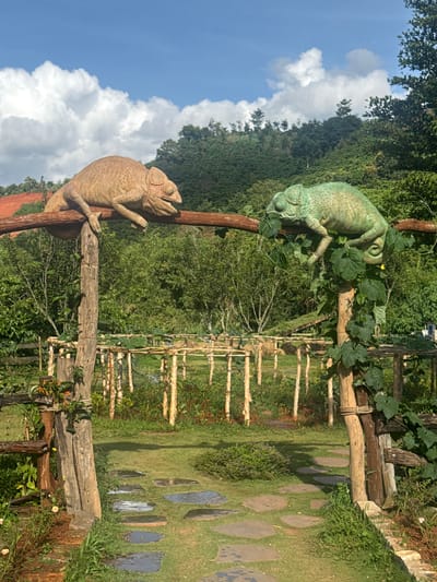 The image depicts an outdoor scene with two large chameleon statues positioned on a wooden beam. The chameleon on the left is a sandy brown color, while the one on the right is a vibrant green. They are situated above an arched wooden entryway, which leads to a garden path made of flat stones. The garden is lush with green grass, trees, and plants, suggesting a natural or park-like setting. In the background, a hillside covered with dense green foliage rises under a bright blue sky with scattered white clouds. The overall impression is a tranquil and decorative garden environment. The location is identified as Thôn 1, Vietnam.