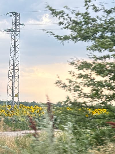 The image depicts a power line tower in the city of Staro Selo, Bulgaria. The tower, constructed of a metal lattice, stands to the left of the frame. Several electrical wires extend from insulators attached to the tower, stretching across the sky. In the middle ground, a field of sunflowers with yellow petals is visible, interspersed with green foliage. The background consists of trees and a cloudy sky, with the soft glow of sunlight breaking through the clouds. The right side of the image shows the blurred branches of a tree, suggesting motion. The overall scene is a rural landscape with an industrial element.