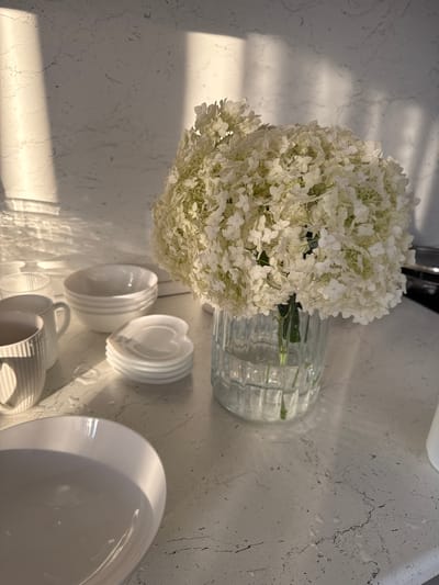 A bouquet of white hydrangeas sits in a clear glass vase on a light-colored countertop. Several white bowls and mugs are arranged around the vase. The scene is illuminated by sunlight streaming in from the left, casting shadows on the textured wall behind the countertop. The countertop itself appears to be made of a marbled material.