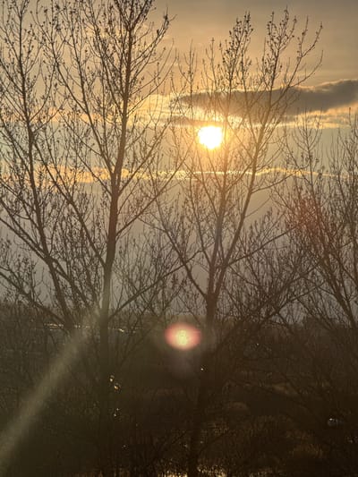 The image shows a view of trees silhouetted against a bright, hazy sky. The sun is visible, positioned behind the trees, creating a lens flare effect. The branches of the trees are bare, suggesting it is either late autumn or winter. There are faint cloud formations in the sky. The location, Kladovitsy, Russia, cannot be determined from the image alone. There are no people, specific objects, actions, or interactions evident. The environment is a natural setting with trees and a clouded sky.