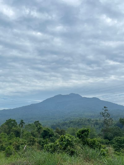 The image depicts a panoramic view of a mountainous landscape under a cloudy sky. In the foreground, lush green vegetation, including tall grasses and various trees, dominates the scene. Several power lines stretch horizontally across the frame, cutting through the view of the distant mountains. The mountains themselves are covered in dense forest, fading into a hazy blue in the background. The sky is overcast with a thick layer of grey clouds. The location is identified as Sukamulia, Indonesia.