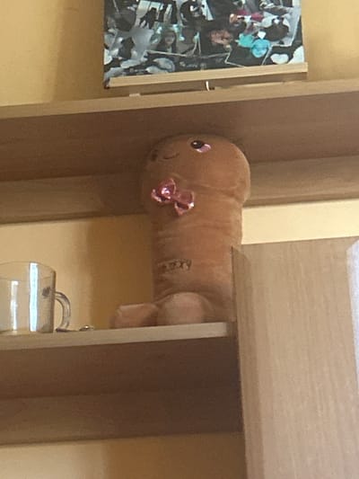 The image shows a close-up of a stuffed toy, possibly a dog, peeking out from a shelf. The toy is a light brown color and has a pink bow tied around its neck. It has round, dark eyes and a small pink nose. The background consists of wooden shelves and a framed picture on the left side. The picture appears to be a collage of images. Below the toy, a glass object, possibly a cup or a decorative item, is visible. The lighting suggests an indoor setting, possibly a home or a shop. The overall mood is casual and perhaps playful due to the presence of the toy. No specific time of day or weather conditions can be determined from the image. There is some faint, unreadable text on the toy itself. The location context provided is Tomaszów Mazowiecki, Poland.