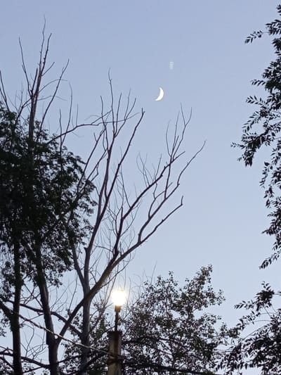 The image depicts a sky at dusk with a crescent moon and a faint glow from a streetlamp visible among silhouetted trees. The scene appears to be outdoors, possibly in a park or residential area. The sky is a pale blue, transitioning towards darkness. The moon is positioned in the upper right quadrant of the image, appearing as a thin sliver. A streetlamp, with its light on, is located in the lower left portion of the frame, casting a warm glow. Several trees with bare branches are silhouetted against the sky, with some foliage visible on the right side of the image. The image does not contain any identifiable people or specific landmarks that would pinpoint its exact location within Novotroitsk, Russia. The overall atmosphere is serene and quiet.