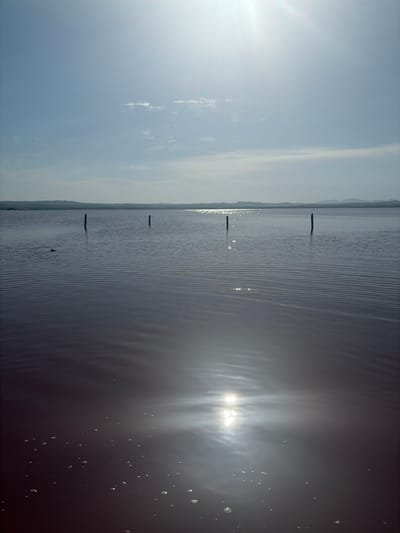 This is a wide-angle photograph of a calm, shallow body of water with a reddish-brown hue, possibly a salt lake or lagoon. The sun is high in the sky, creating a bright glare and reflections on the water's surface. Several dark, vertical posts or stakes are visible, emerging from the water at varying distances. The horizon line separates the water from a muted, hazy landscape of distant hills under a pale blue sky with a few thin, wispy clouds. The foreground of the water shows small bubbles on the surface and ripples. The scene suggests a natural or semi-natural environment, potentially within the coastal area of Urbanización La Torreta, Spain, known for its salt flats. There are no people or animals visible in the image.
