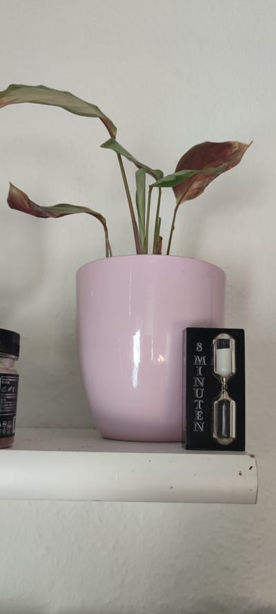 The image depicts a close-up, eye-level shot of a shelf against a white wall, likely in Liebenburg, Germany. On the shelf, a pink ceramic pot holds a plant with long, slender leaves, some of which are tinged with red. To the right of the plant pot is a small, black hourglass timer with the words "8 MINUTEN" printed vertically alongside an illustration of the hourglass. To the left of the plant pot, a portion of a clear glass jar with a black lid is visible, containing a pink substance. The shelf itself is white and appears to be a simple wooden plank. The overall scene suggests a domestic or office setting.