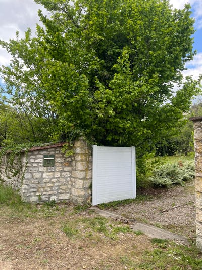 The image shows a white gate leading to a gravel path. The gate is made of horizontal wooden slats and is mounted on a stone wall. The wall is made of rough-hewn stones and is overgrown with vines. There is a small mailbox mounted on the wall. Behind the gate, there is a small patch of green grass and a small bush with white flowers. The rest of the background is filled with a dense canopy of green trees. The location is in Giverny, France, near the house and gardens of Claude Monet, where he painted many of his famous Impressionist works. The latitude is 49.075, the longitude is 1.535.