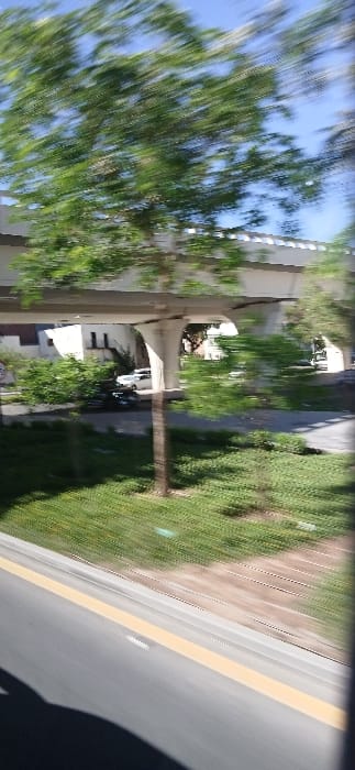 The image presents an urban or suburban scene in Medina, Saudi Arabia, captured from a moving vehicle under clear daytime conditions. An elevated concrete overpass, supported by a series of flared concrete pillars, bisects the upper-mid section of the frame. Beneath this structure, several light-colored buildings are visible, and at least two white passenger vehicles are parked on a visible street or lot. Extensive green foliage from numerous trees, exhibiting significant motion blur, occupies the upper and mid-ground, partially obscuring a clear blue sky. A strip of green grass or low-lying vegetation extends across the ground level. In the foreground, the edge of a grey asphalt road is visible, marked by a solid yellow line and white dashed lane markings. A dark, indistinct shadow, likely from the vehicle from which the image was taken, is cast onto the bottom-left portion of the road. The pervasive motion blur across the trees and ground indicates that the image was captured while the observer was in transit.