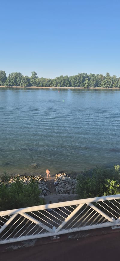 The image depicts a wide, calm river with a tree-lined bank on the opposite side. Two buoys, one red and one green, are visible in the water. On the near bank, a person stands in shallow water near a rocky shoreline. Another smaller figure is visible on the shore behind them. A white railing is prominent in the foreground, suggesting the vantage point is from a bridge or elevated walkway. The sky is clear and blue, indicating a sunny day. The scene appears to be a riverfront area within the city of Mainz, Germany.
