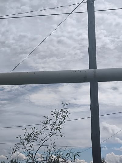 The image captures a scene dominated by a large, dark wooden pole positioned vertically, with a wide, light-colored pipe running horizontally across its center, creating a cross-like structure against a cloudy sky. Several thin wires are visible, strung across the frame, adding to an impression of infrastructure. In the lower left portion of the image, a delicate branch with long, slender leaves reaches upwards, partially obscuring the wires. The sky is filled with a mix of light and dark clouds, suggesting a dynamic weather pattern, possibly overcast or on the verge of rain. The overall lighting is diffused, typical of a cloudy day, and there is no indication of specific time or strong shadows. The setting appears to be outdoors, possibly in a rural or semi-urban area, given the presence of utility poles and overhead wires. No people or distinct human activity are depicted. The image evokes a sense of quiet observation of the natural and man-made elements in the environment. There is no visible text in the image.