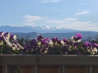The image shows a mountain range with snow-capped peaks in the background, partially obscured by a foreground of purple and white flowers in a planter box. The sky is blue with scattered clouds. A portion of a city, possibly Skopje, is visible in the middle distance. Street lighting and buildings can be seen amongst trees. A grey wooden planter box is located at the bottom of the frame.