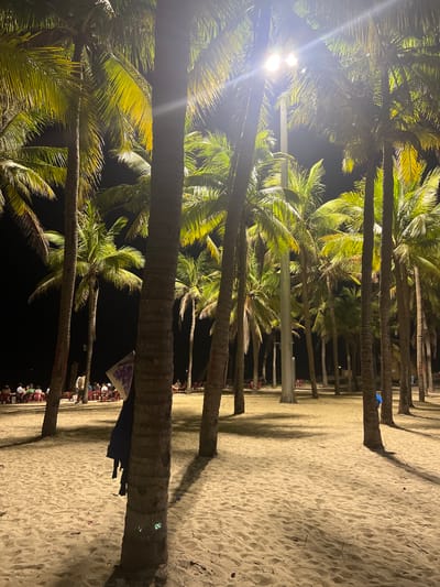 The image depicts a nighttime scene on a sandy beach in Hoi An, Vietnam. A dense cluster of palm trees dominates the foreground and midground, their fronds illuminated by overhead lights, casting long shadows across the sand. In the background, a row of tables and chairs, some with people seated at them, suggests a dining or gathering area. A single person, partially obscured by a palm tree, stands near the tables. The overall atmosphere is serene and tropical, with the artificial lighting creating a warm glow on the beach.