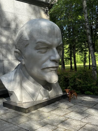 A large, pale grey bust of Vladimir Lenin stands to the left of the frame, casting a shadow on the granite-tiled ground. The bust is made of stone or concrete and depicts Lenin from the shoulders up, with a stern expression. Behind the bust, a dense green forest with tall trees is visible. To the right of the bust and slightly in front of it, a small, reddish-brown dog stands on the tiled ground, looking towards the left. The dog is wearing a pink collar. The setting appears to be an outdoor park or memorial area in Sestroretsk, Russia. The lighting suggests it is daytime, with sunlight filtering through the trees and creating dappled shadows.
