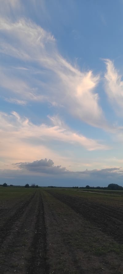The image depicts a rural landscape under a partly cloudy sky at dusk. The foreground is a dark, plowed field with visible tire tracks. In the mid-ground, a flat expanse of fields stretches to the horizon, dotted with scattered trees and distant structures. The sky is a gradient of blue, with wispy white and pinkish clouds illuminated by the setting sun. There are no people or animals visible in the scene. The location is identified as being near the village of Kobeliachok in Ukraine.